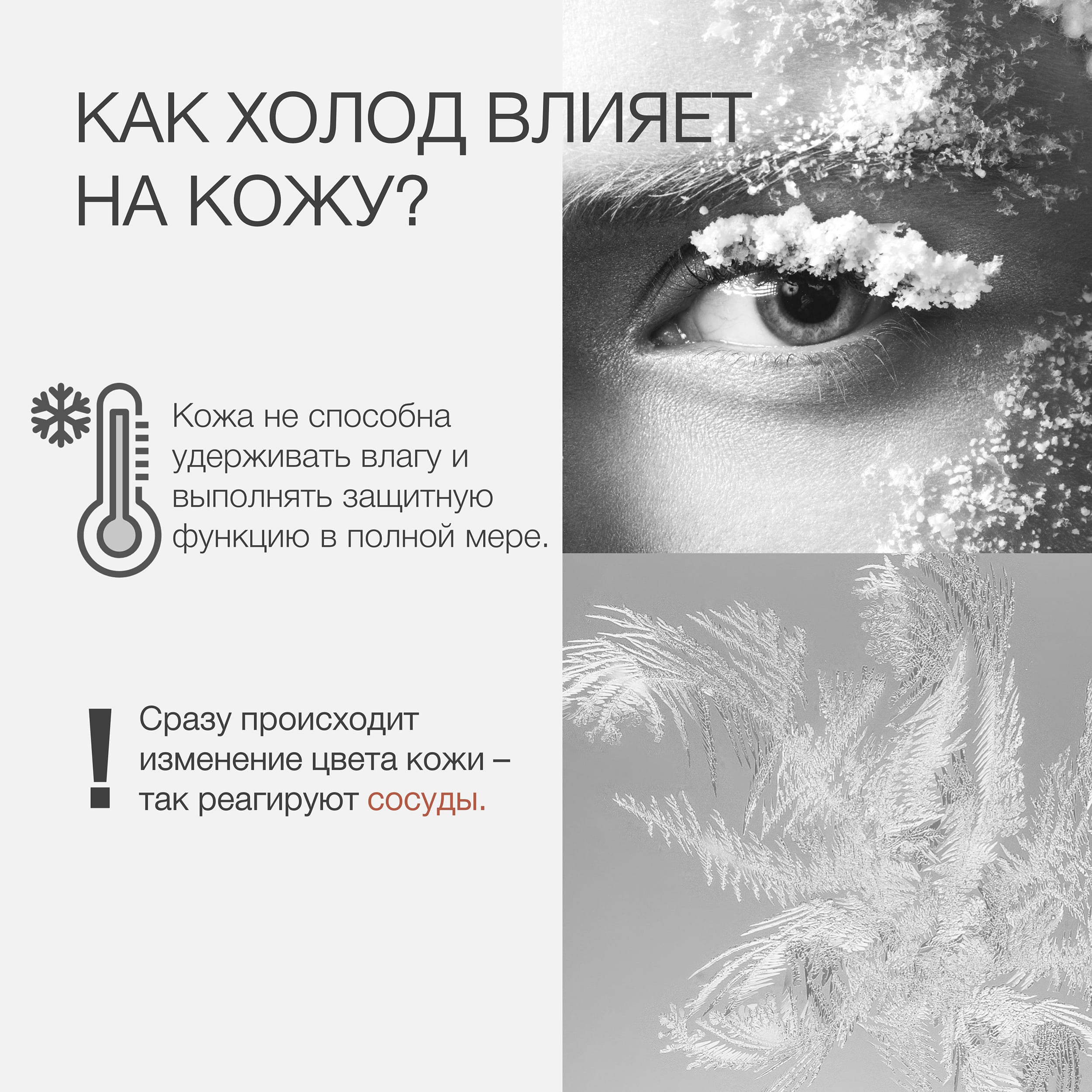 Пост зима и кожа 3.jpg Пост зима и кожа 3.jpg